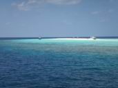maldives 19.jpg